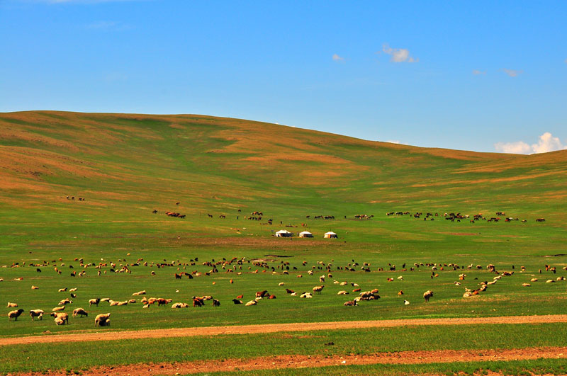 Mongolie